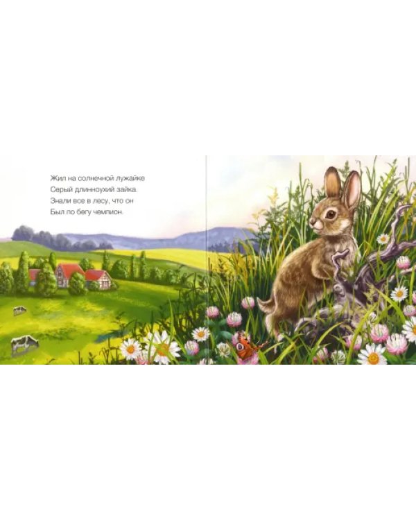 Милые зверята. Зайчик