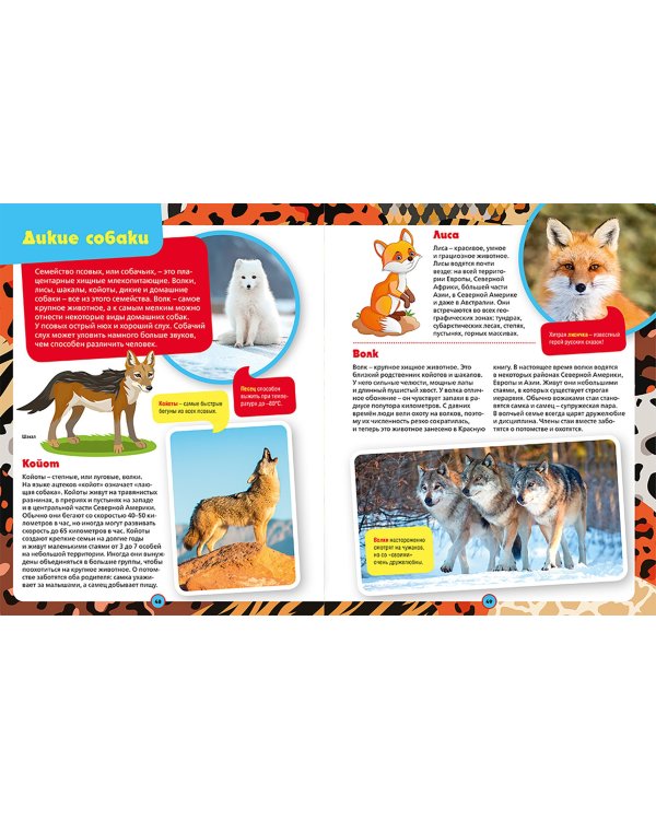 Большая иллюстрированная энциклопедия дошкольника