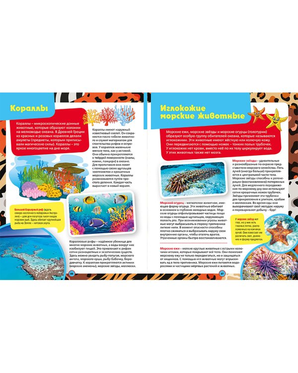 Большая иллюстрированная энциклопедия дошкольника