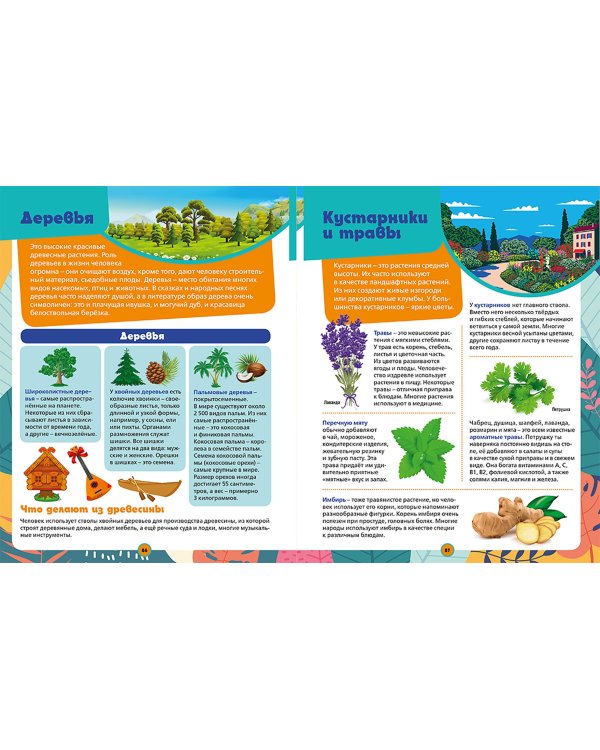 Большая иллюстрированная энциклопедия дошкольника