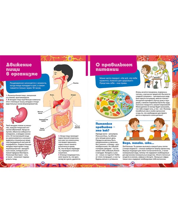 Большая иллюстрированная энциклопедия дошкольника