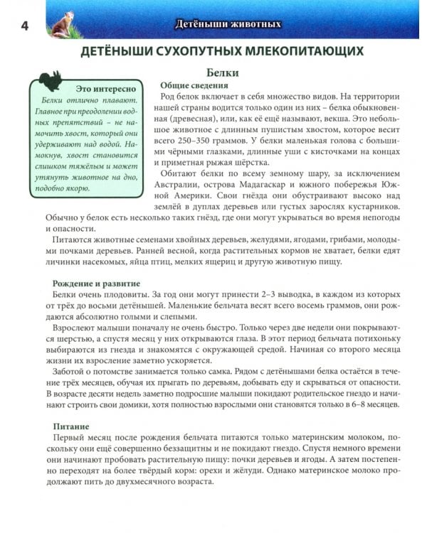 Детеныши животных (красн.)