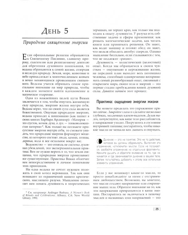 Викка: год и один день. 366 дней духовной практики в Искусстве Мудрых