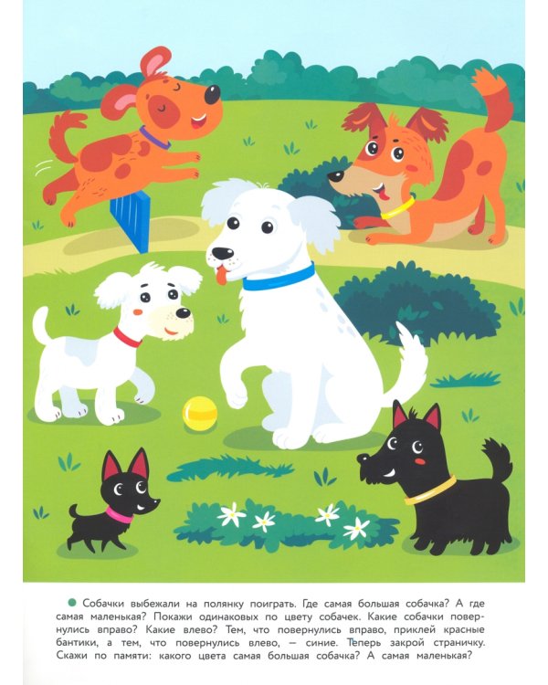 2 года. Развиваем внимание и память