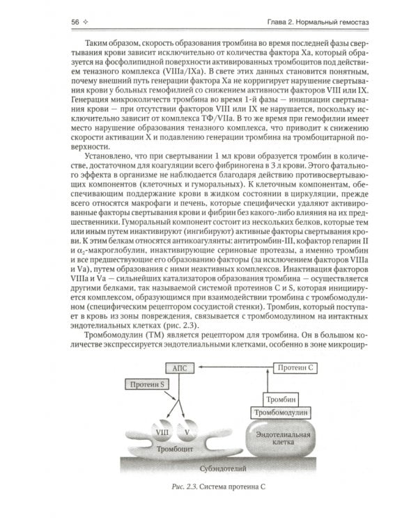 Гематология. Руководство для врачей
