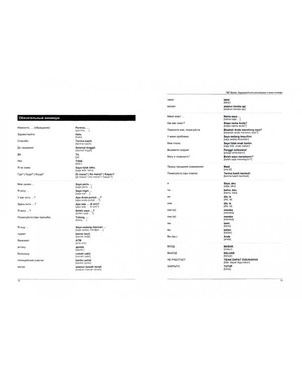 Индонезийский разговорник + мини-словарь 250 слов. Самые нужные фразы