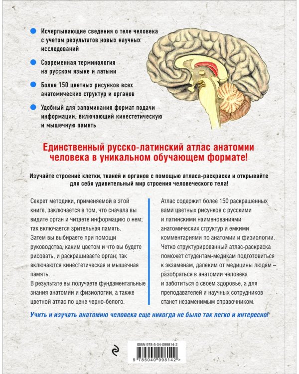 Анатомия: русско-латинский атлас-раскраска