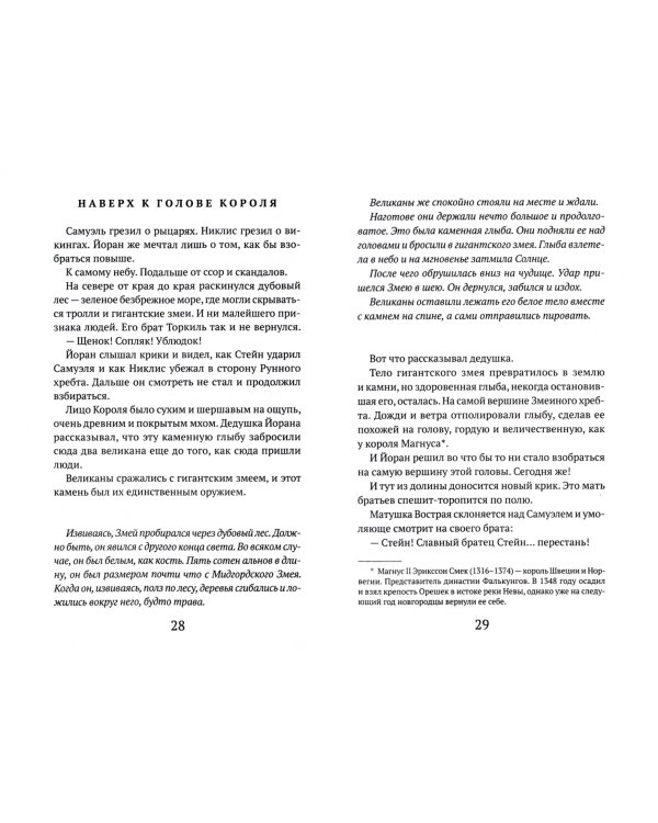 Битва за Салаяк