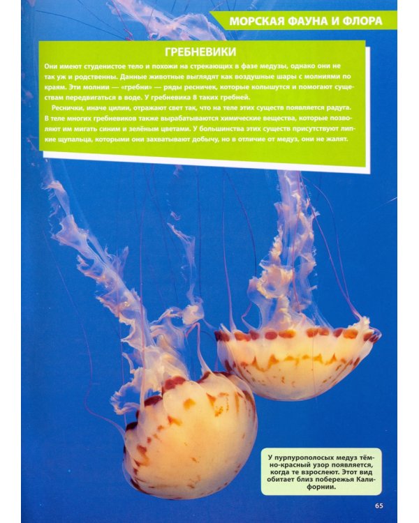 Большая энциклопедия океана