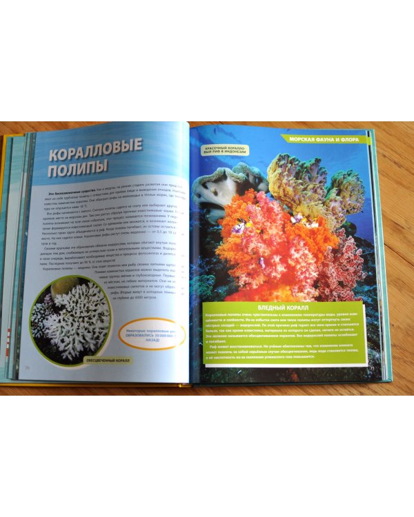 Большая энциклопедия океана