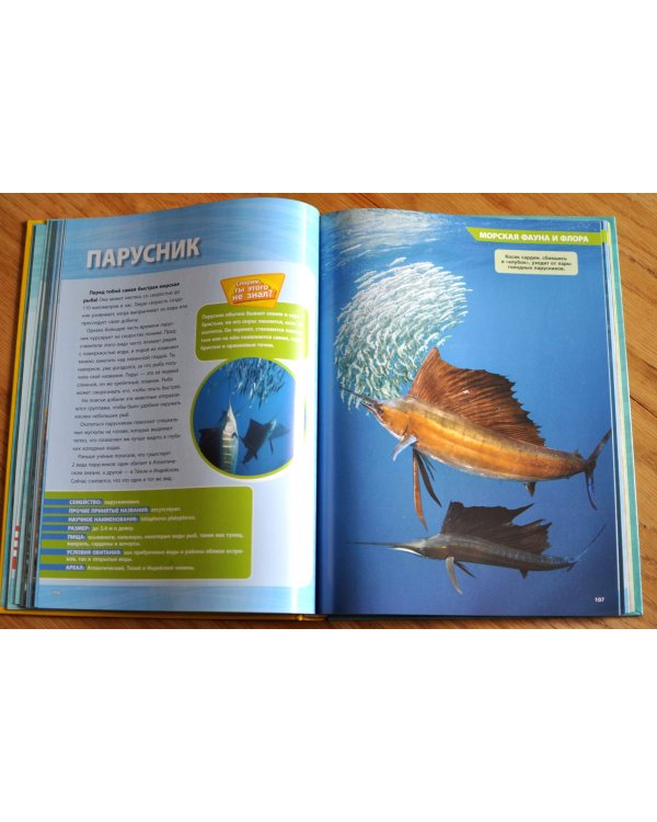 Большая энциклопедия океана