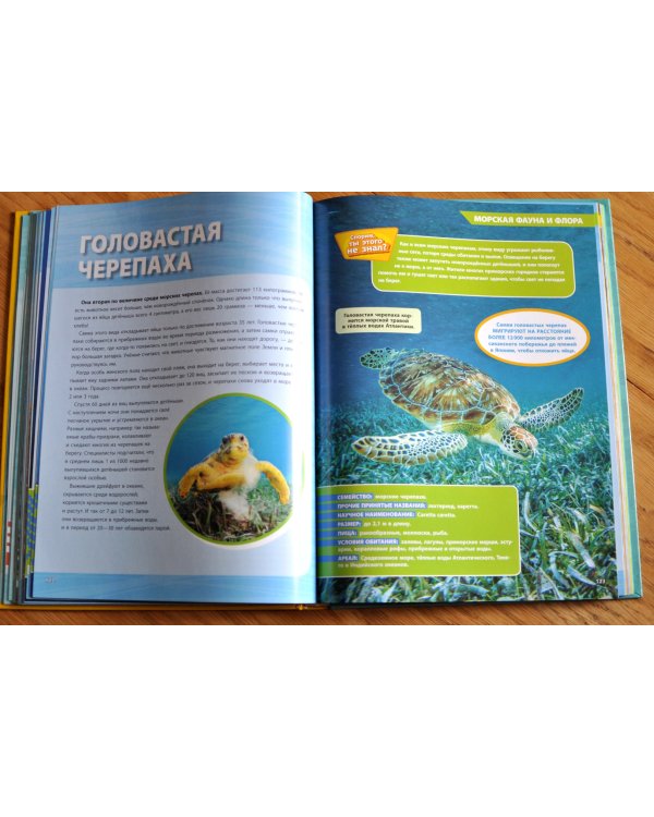 Большая энциклопедия океана