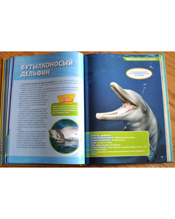 Большая энциклопедия океана