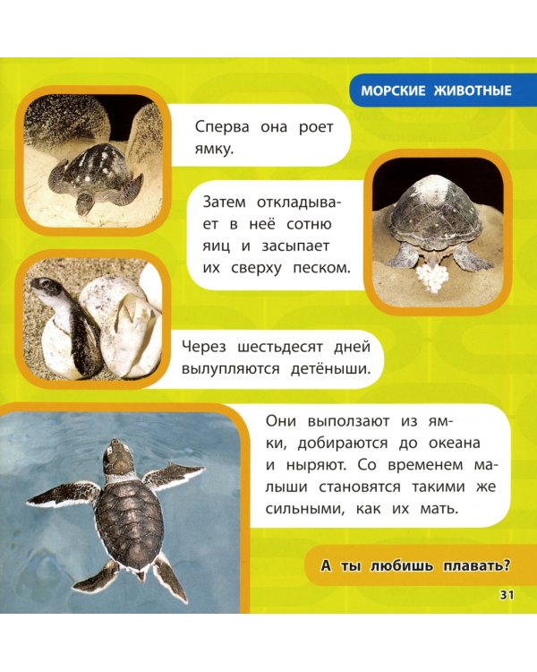 Животные. Моя первая энциклопедия