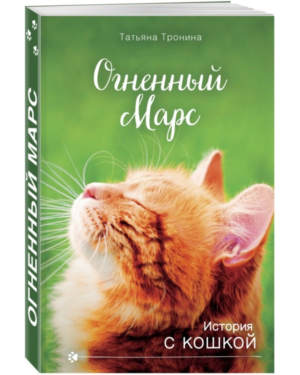 Огненный Марс