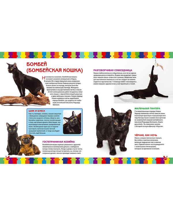 Моя первая книга о кошках и котятах. Детская энциклопедия