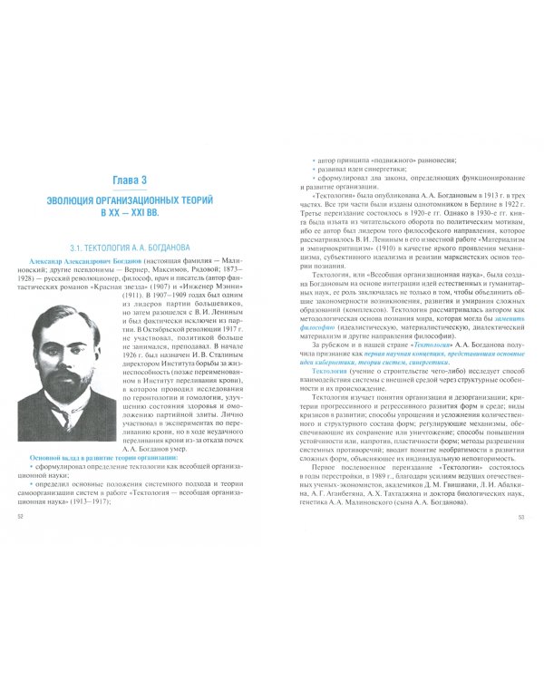 Теория организации. (Бакалавриат). Учебник