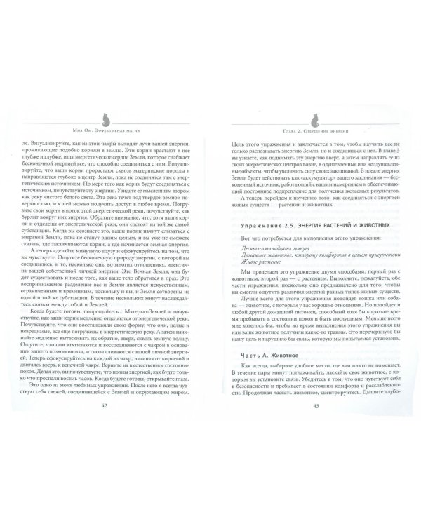 Эффективная магия. Главные принципы работы с энергией