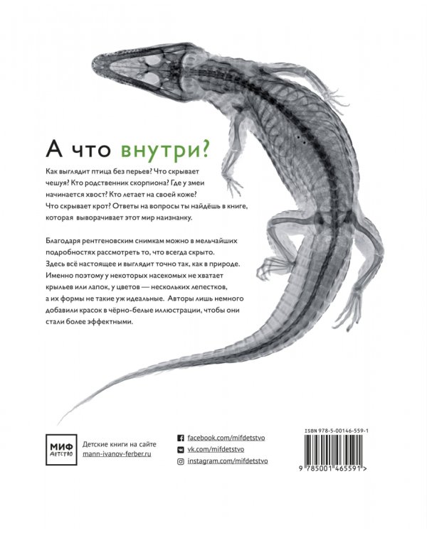 Вижу насквозь. Удивительные рентгеновские снимки животных