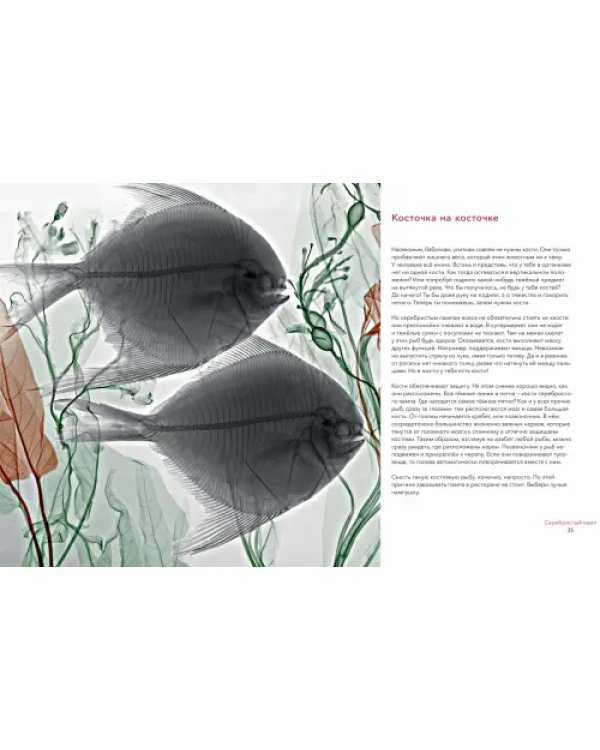 Вижу насквозь. Удивительные рентгеновские снимки животных