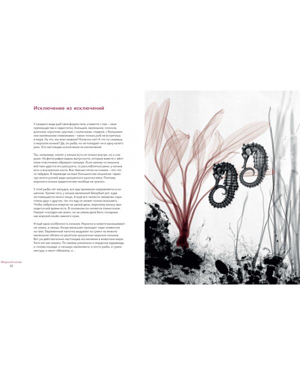 Вижу насквозь. Удивительные рентгеновские снимки животных