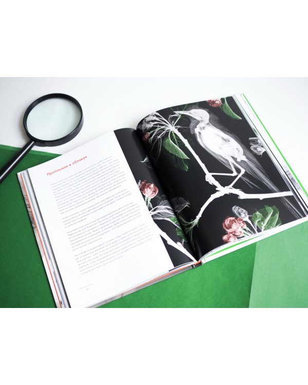 Вижу насквозь. Удивительные рентгеновские снимки животных