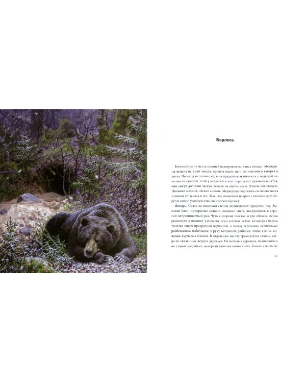 Лесной батюшка