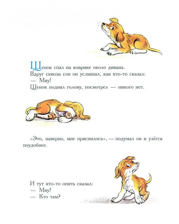 Кто сказал "мяу"?