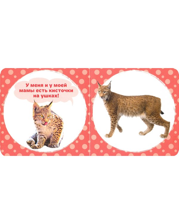 А моя мама....