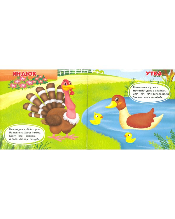 Кто живет на ферме?