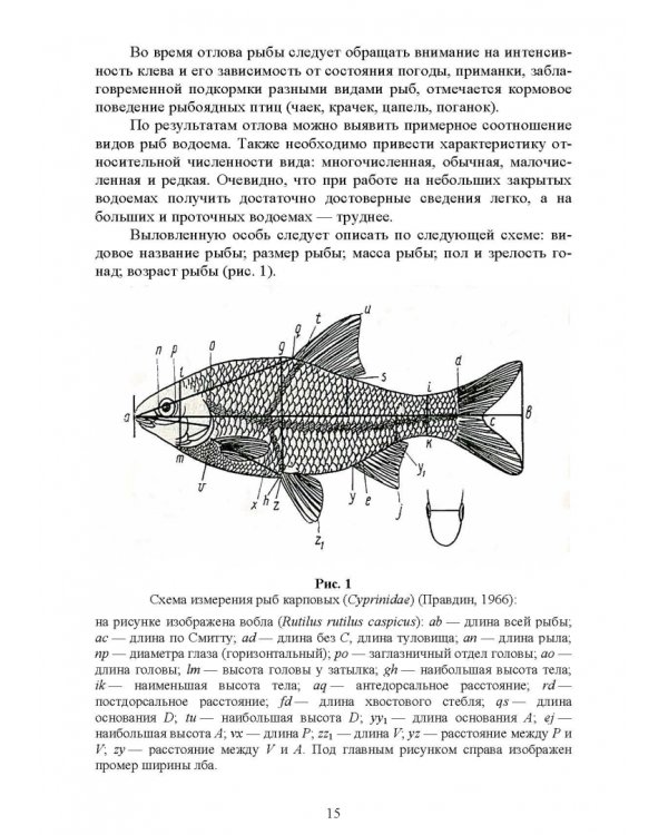 Методы полевых исследований позвоночных животных. Учебное пособие