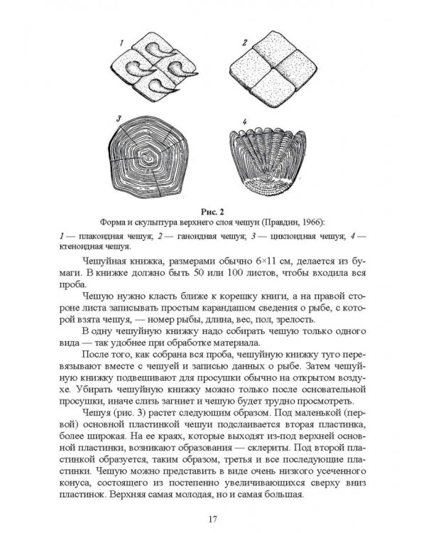 Методы полевых исследований позвоночных животных. Учебное пособие