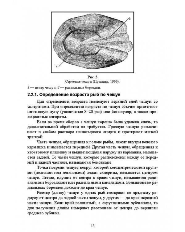Методы полевых исследований позвоночных животных. Учебное пособие