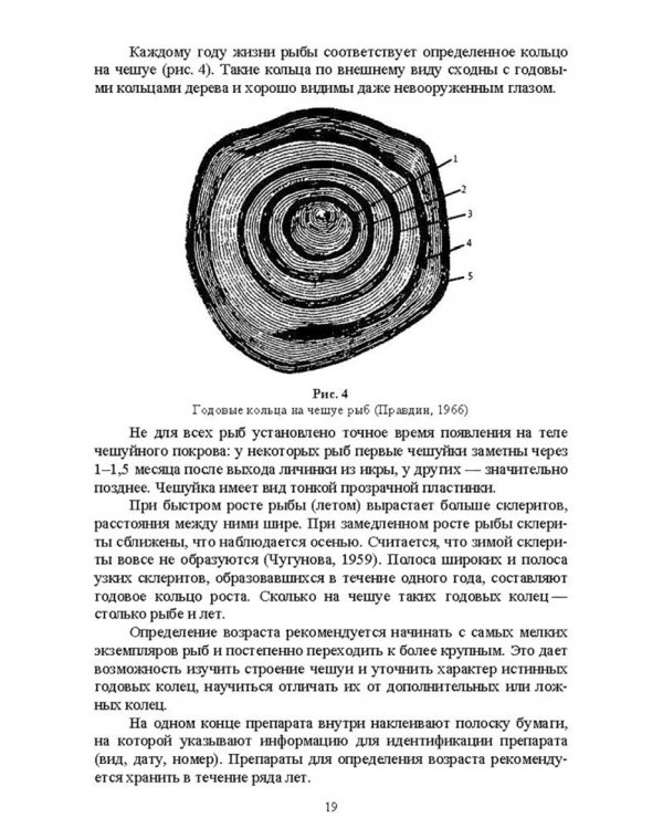 Методы полевых исследований позвоночных животных. Учебное пособие