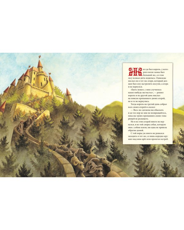 Железный Ганс