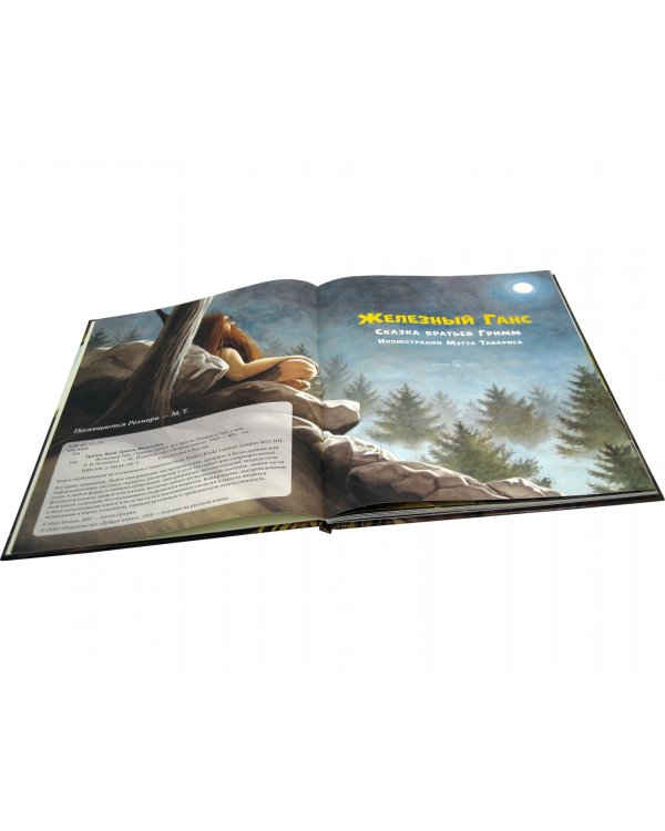 Железный Ганс