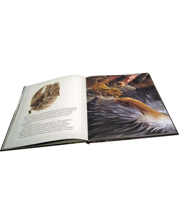 Железный Ганс