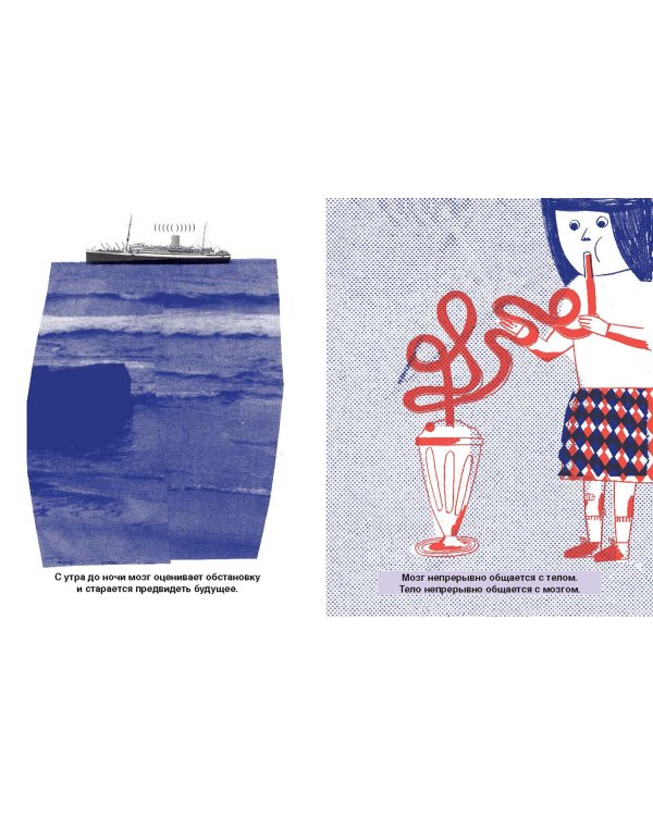 Что там внутри? Путеводитель по нашему мозгу