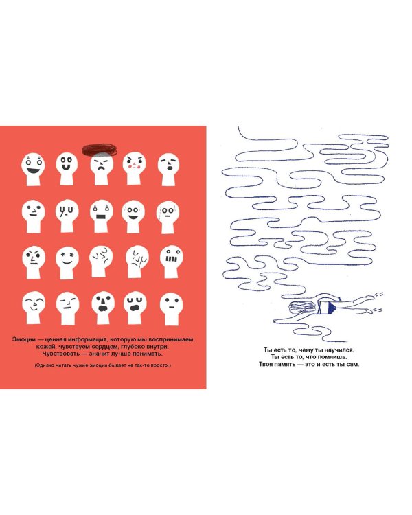 Что там внутри? Путеводитель по нашему мозгу