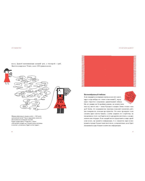 Что там внутри? Путеводитель по нашему мозгу