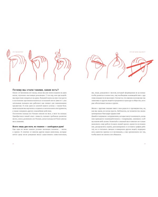 Что там внутри? Путеводитель по нашему мозгу