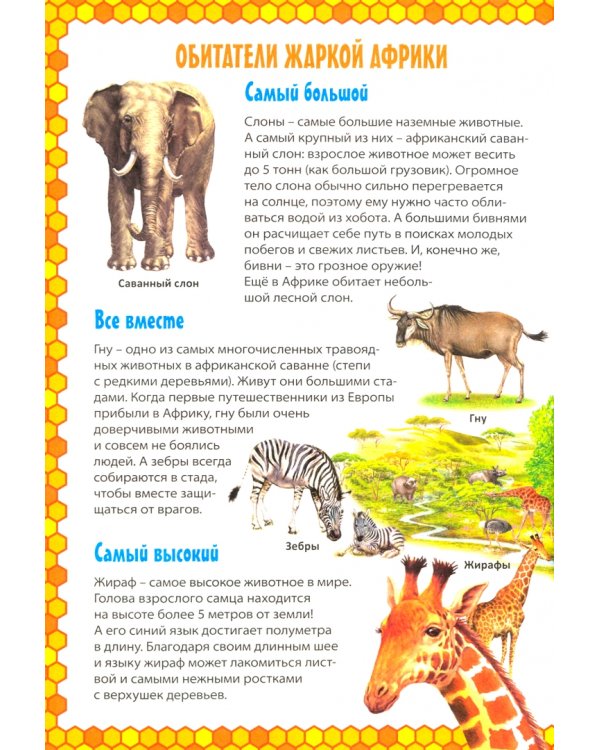 Животные мира