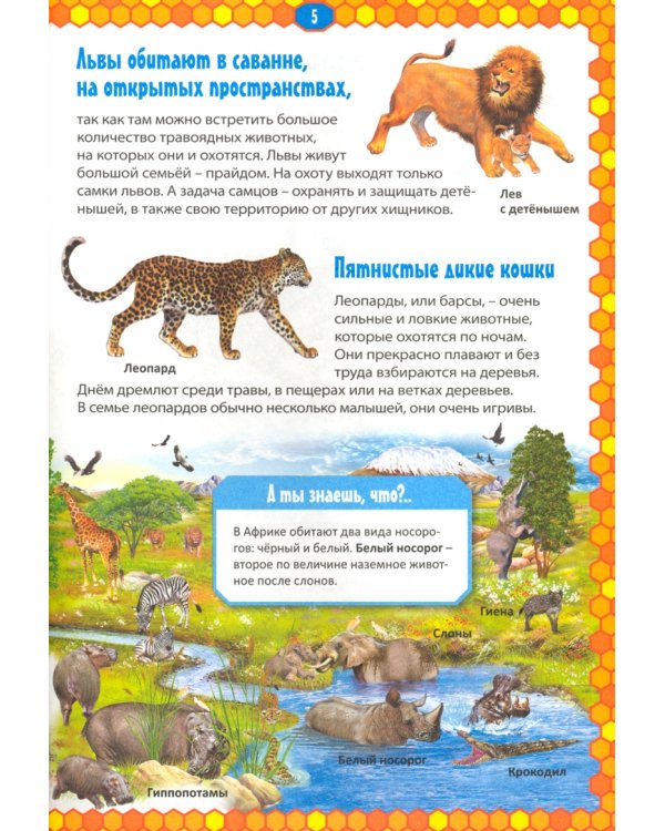 Животные мира