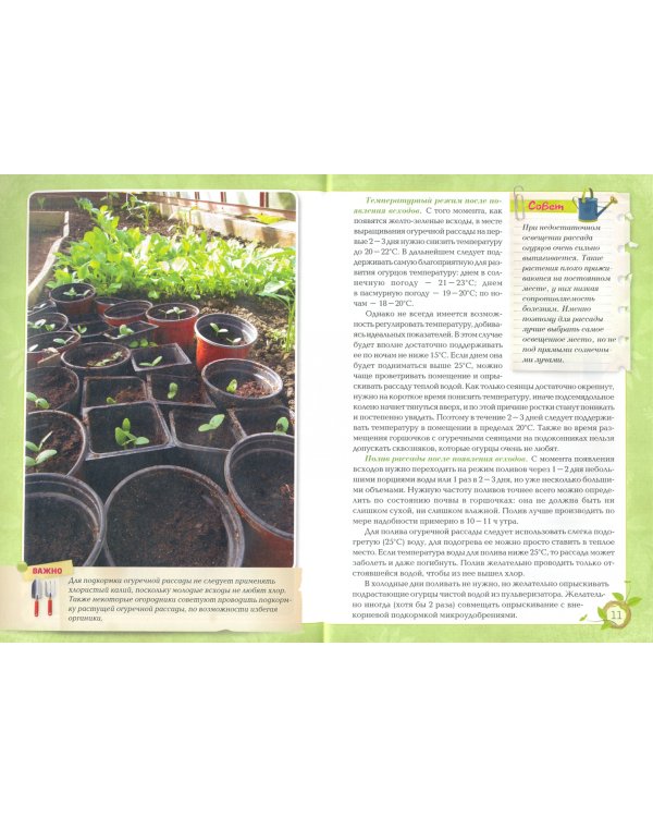 Огурцы. Богатый урожай без ошибок