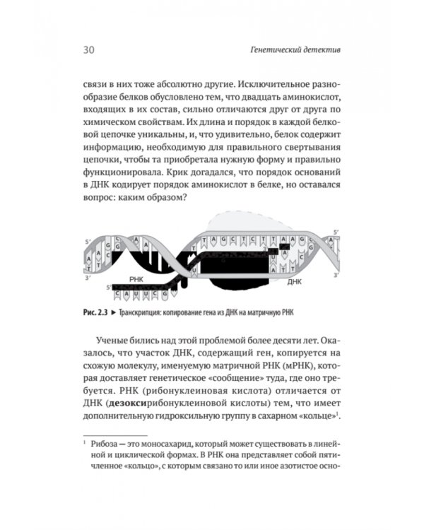 Генетический детектив. От исследования рибосомы к Нобелевской премии