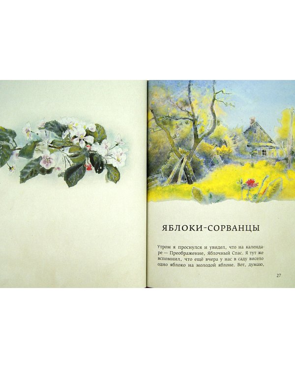 Огонек в золотой шапочке