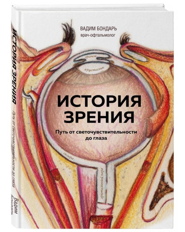 История зрения. Путь от светочувствительности до глаза