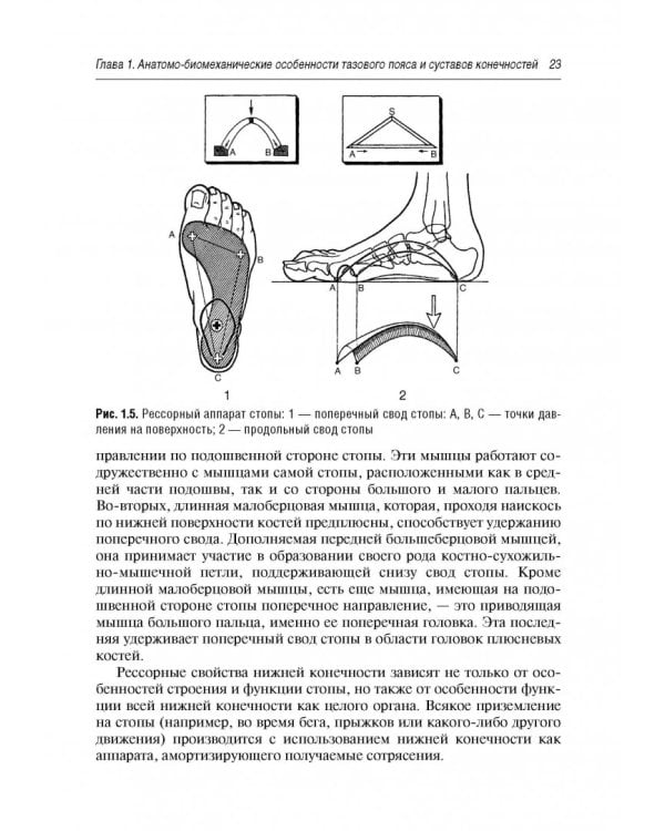 Боль в суставах. Руководство для врачей