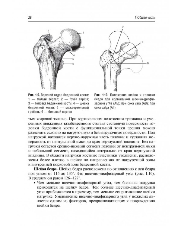 Боль в суставах. Руководство для врачей