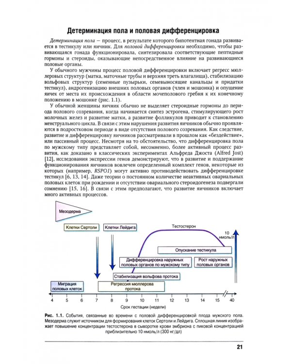 Детская эндокринология. Руководство